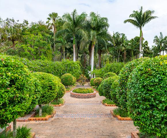 Come and see all the Bundaberg Botanic Gardens have to offer!